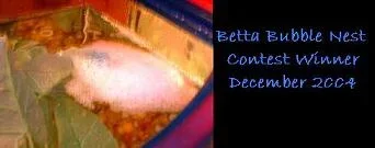 post_5_1102985183.webp