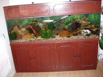 full_tank.webp