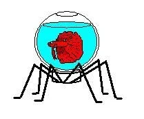 walker.webp