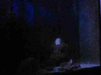 20g_moonlight.webp