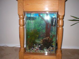 fish_009_1_