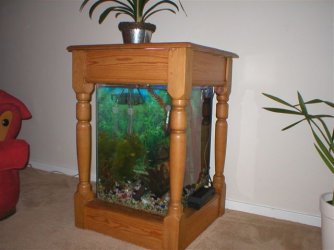 fish_010_1_