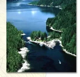 index_aerial.webp