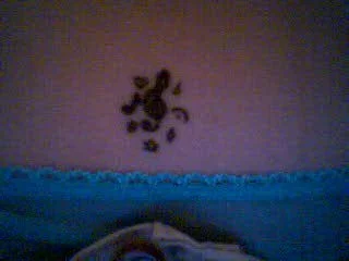 Picture_2.webp