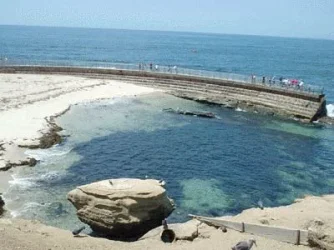 beach.webp