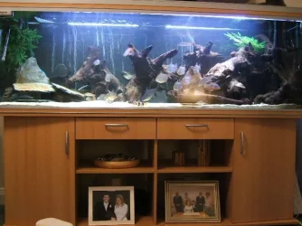 Pic_4.webp