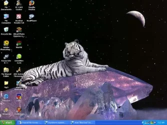 desktop99.webp