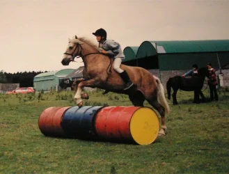 jump.webp