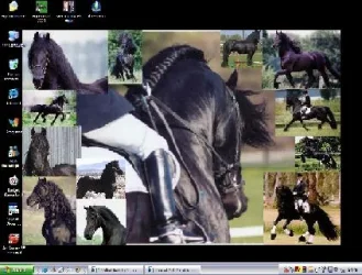 screenshot.webp