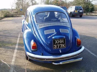 Bug3.webp
