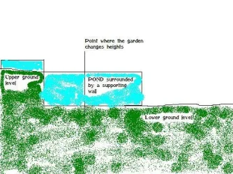 Pond.webp