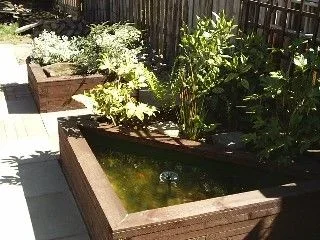 plants_b.webp
