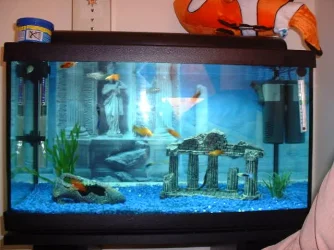 Camera_Pics_004.webp
