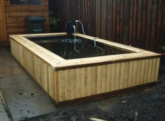 pond_1.webp