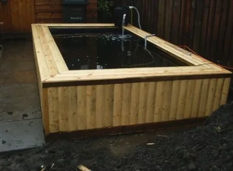 pond_2.webp