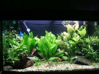 tankpic4.jpg