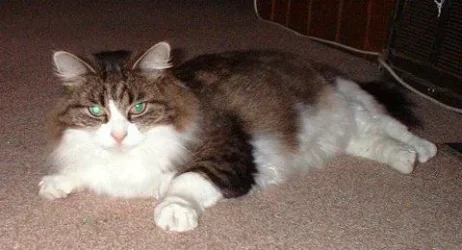Libby.webp