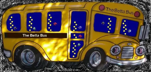 TheBettaBus.webp
