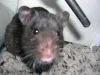 Picture_004.webp