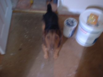 DSCF0012.JPG