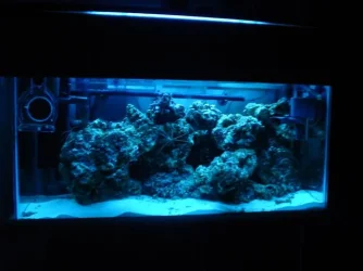 tank_at_nite.webp