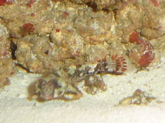 DSC00006.webp