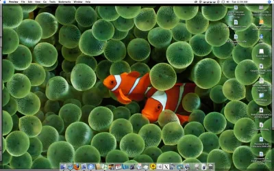 Picture_1.webp