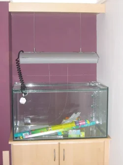 Fish_tank_equipment_017.webp
