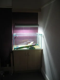 Fish_tank_equipment_018.webp