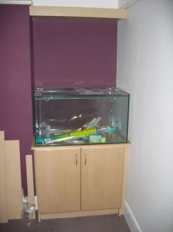 Fish_tank_equipment_015.webp