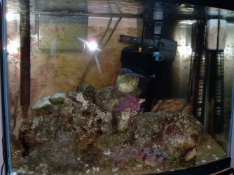 28gallon_012.webp