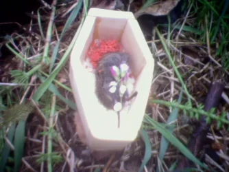 Near_grave_with_flowers.webp