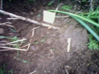 Covered_Grave.webp