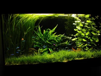 may231.webp
