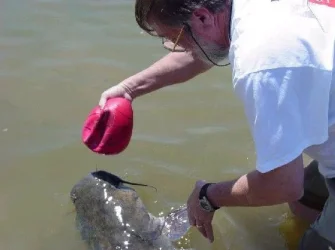 catfish5.webp
