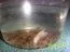 th_LesliesPictures155.webp