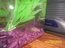 th_LesliesPictures157.webp