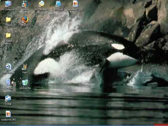 orcadesktop.webp