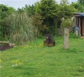 100_2980.webp