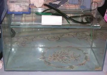 Tank_1.webp