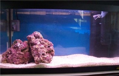 marine_tank_040605.jpg