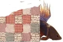 quilt.webp