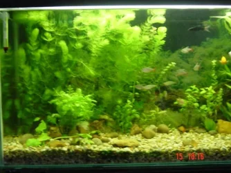 DSC00704.webp
