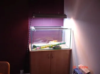 Fish_tank_equipment_025.webp