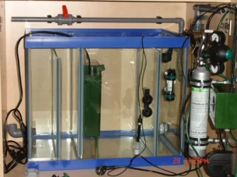 Fish_tank_equipment_033.webp