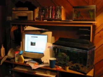 Desk.webp
