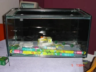 Fish_tank_equipment_036.webp