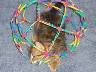 Cat_ball_fun__007.webp