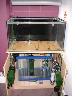 Fish_tank_equipment_037.webp
