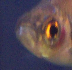 lip2.jpg